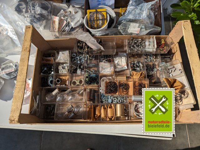 PXL_20240528_155733101